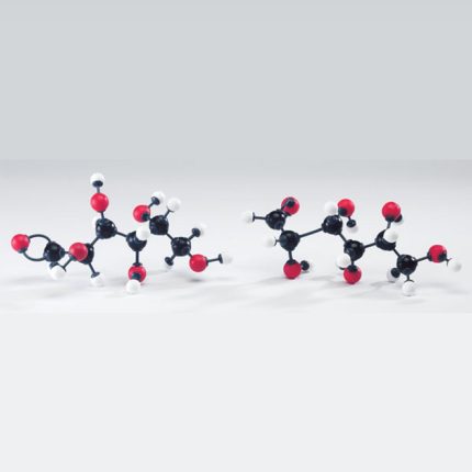 Modèle moléculaire glucides