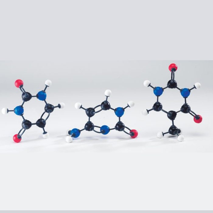 Modèle moléculaire acides nucléiques – Image 1