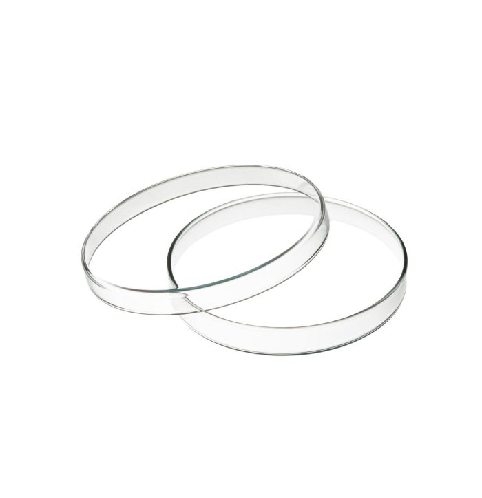 Boite-de-Petri-en-verre-sodocalcique-100mm.jpg Boite de pétri en verre Ø 80 – Image 1
