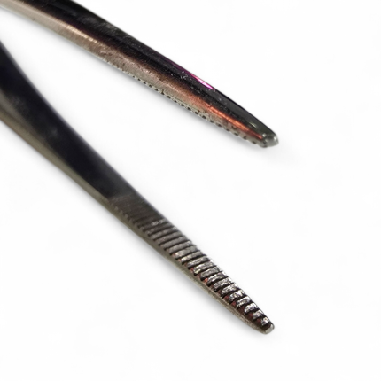 Pince à dissection fines – Image 2