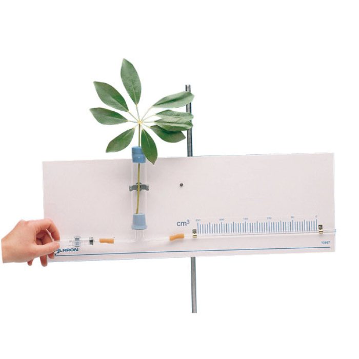 Potomètre de coutable – Image 1